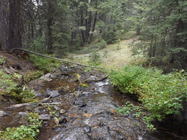 DSCF9569.JPG