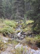 DSCF9571.JPG
