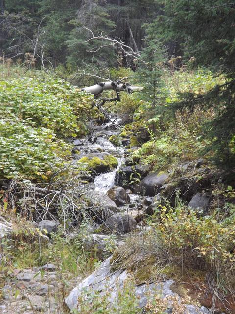 DSCF9572.JPG