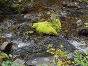 DSCF9573.JPG