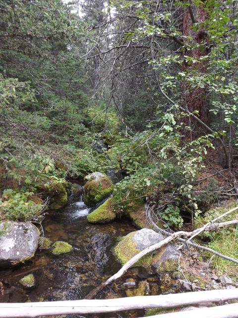 DSCF9578.JPG