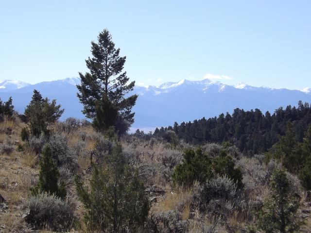 DSCF9901.JPG