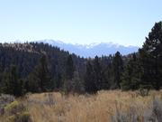 DSCF9905.JPG