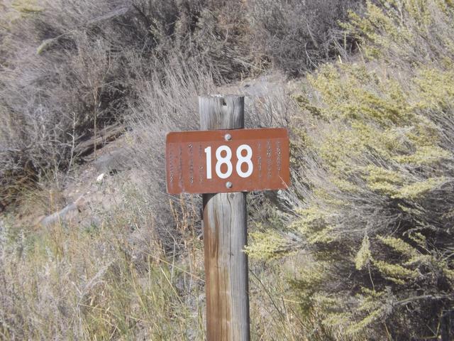 DSCF9666.JPG