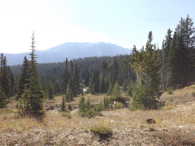 DSCF9714.JPG