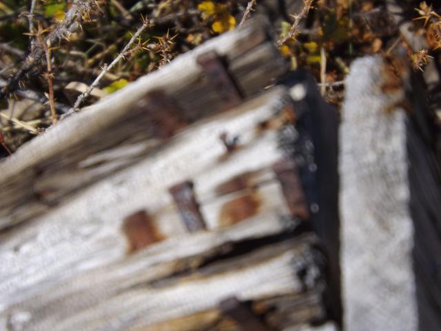 DSCF9725.JPG