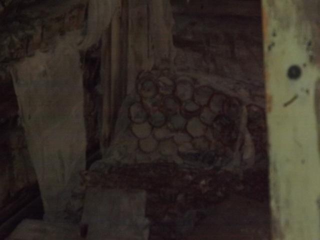 DSCF9745.JPG