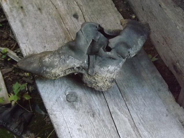 DSCF9748.JPG