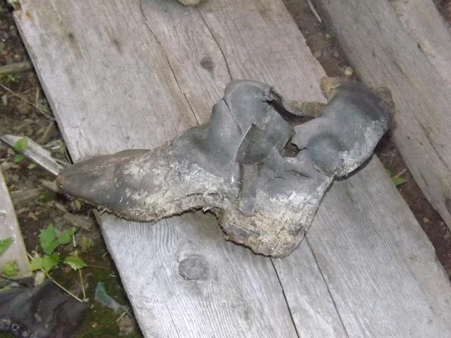 DSCF9749.JPG