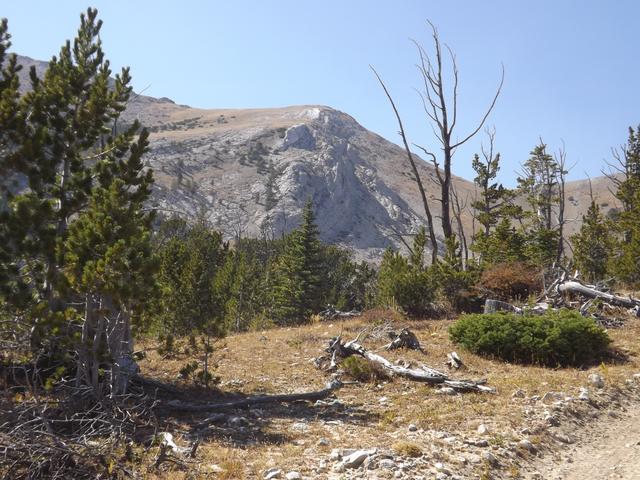 DSCF9792.JPG