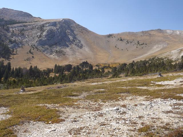 DSCF9793.JPG