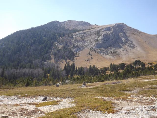 DSCF9794.JPG