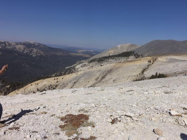 DSCF9813.JPG
