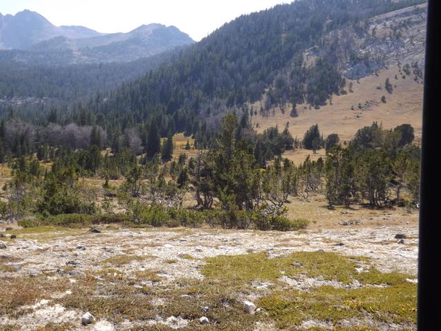 DSCF9846.JPG