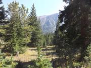DSCF9848.JPG
