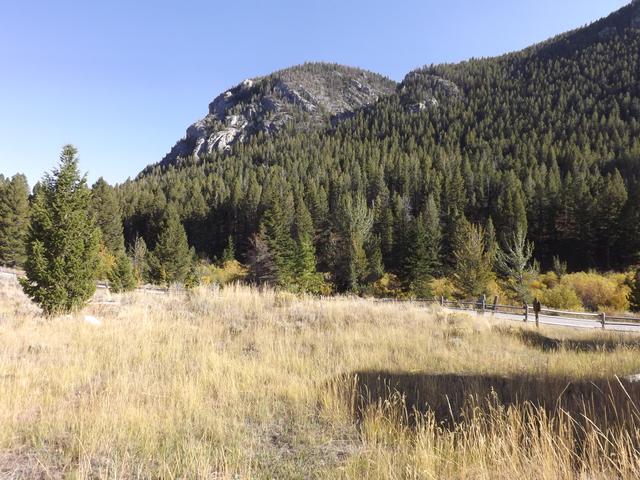 DSCF9874.JPG