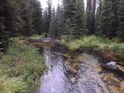 DSCF9617.JPG