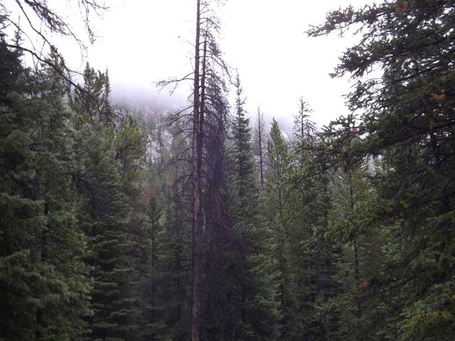 DSCF9621.JPG