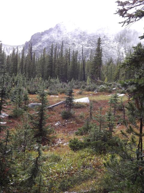 DSCF9622.JPG