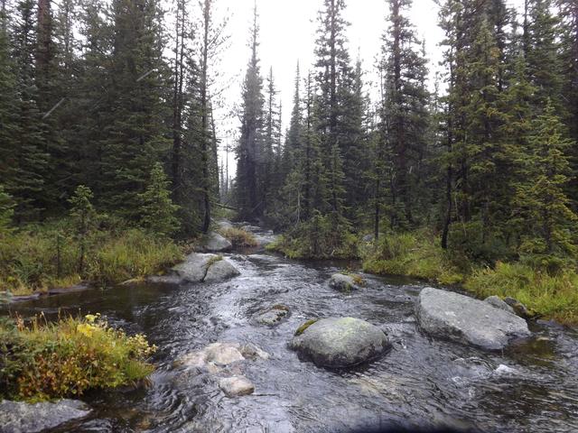 DSCF9650.JPG
