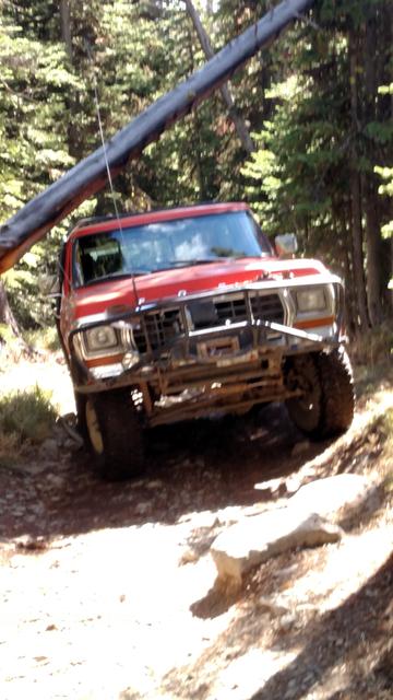 Another dead-fall across the trail - will Don clear?