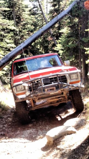 Another dead-fall across the trail - will Don clear?