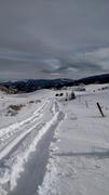 IMG_20160123_120154717