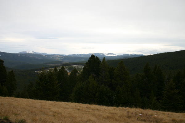 View from the "hunting cabin"