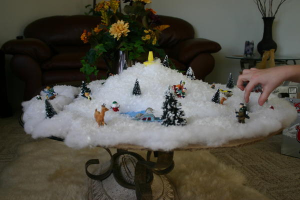 img 0647