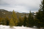 img_0767.jpg