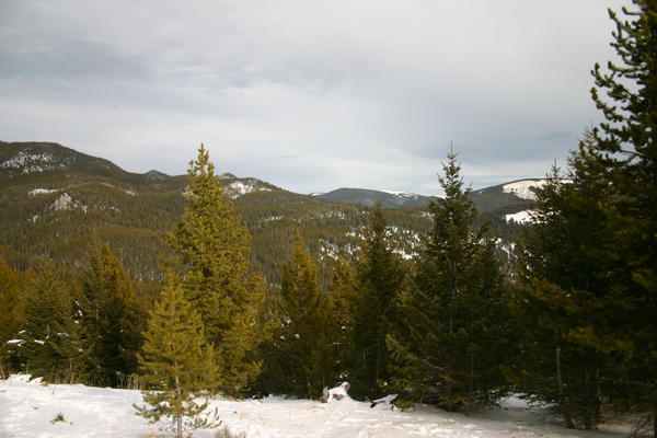 img_0767.jpg