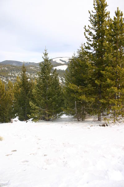 img_0770.jpg