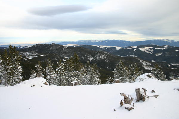 img_0777.jpg
