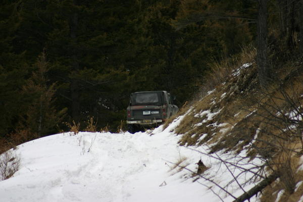 img_1251.jpg