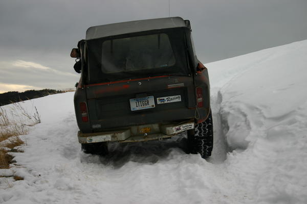 img_1262.jpg