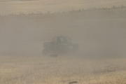 img_1424.jpg