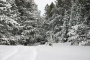 img_2160.jpg