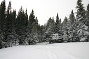 img_2162.jpg