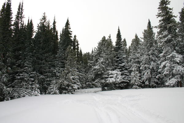 img_2162.jpg