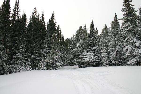 img_2163.jpg