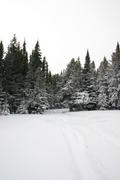 img_2164.jpg