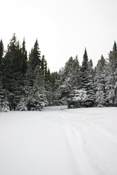 img_2164.jpg