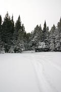 img_2165.jpg