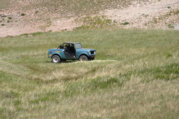 IMG 2544