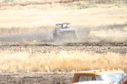 img_4572.jpg