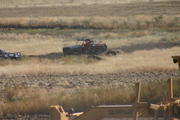 img_4613.jpg