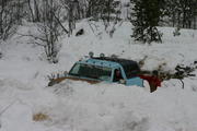 IMG_5295.JPG
