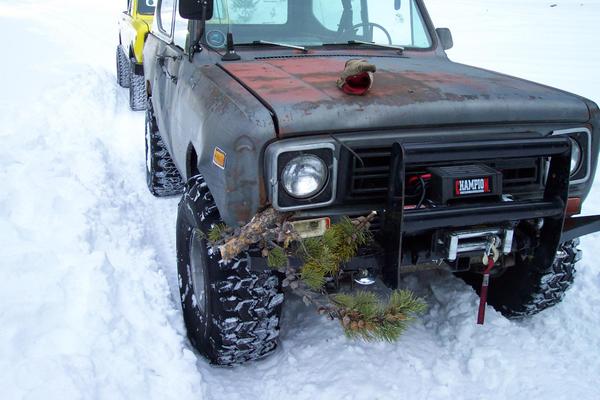 Tom got a little close to a tree that was across the road..