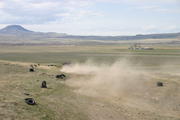 IMG 3287