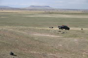 IMG 3292